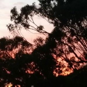 Meet your Posher, Tamara